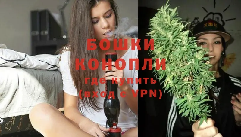 мега ссылка  купить наркотик  Верея  Шишки марихуана White Widow 